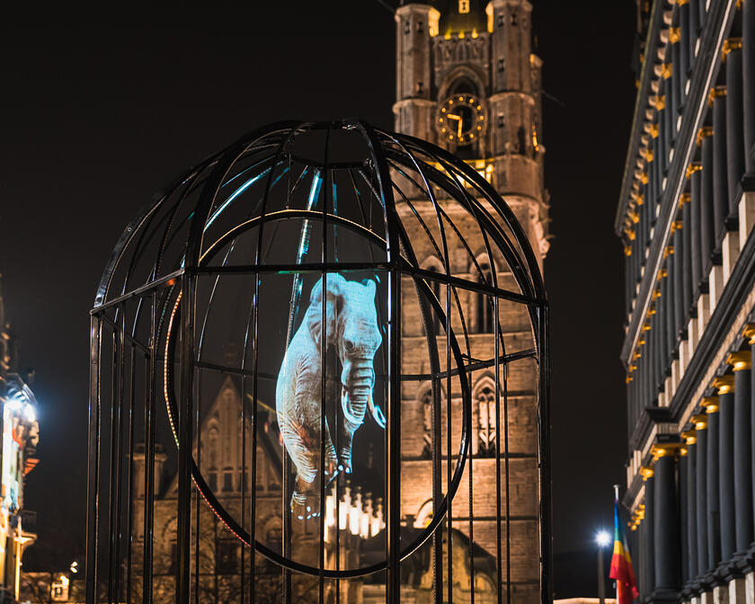 Lichtkunstwerk tijdens het Lichtfestival